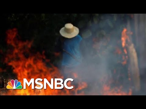 Brazilian President Jair Bolsonaro To Send Troops To Battle Amazon Fires | Hardball | MSNBC