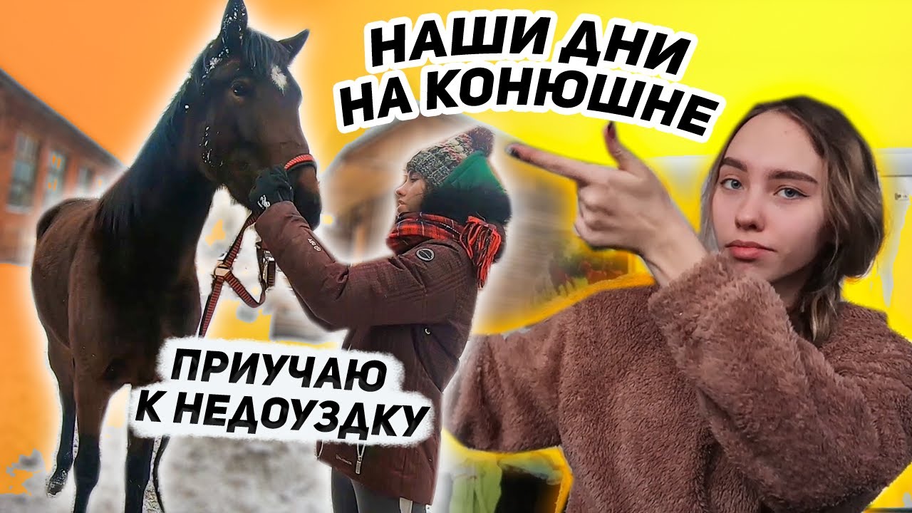 Дни на КОНЮШНЕ / Верхом от перового лица / Занятия в руках