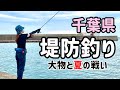 アタリ連発!娘の仕掛けに喰い付いた大物の正体は!?静かな漁港にドラグ音が鳴り響く‥【2025.8】