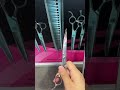 💖Pet Favorite Grooming Scissors Accessory Details