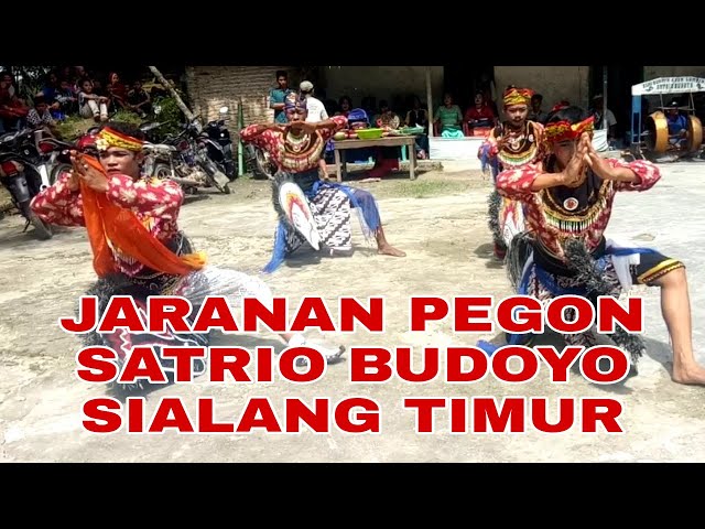 PEGON SATRIO BUDOYO KARANG MONCOL SIALANG TIMUR || GALERI OKI class=