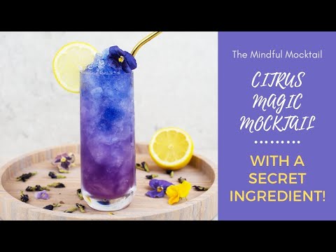 Citrus Magic Mocktail Recipe | Summer Mocktails And Non-Alcoholic Cocktails - The Mindful Mocktail