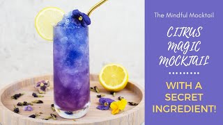 Citrus Magic Mocktail Recipe | Summer Mocktails and Non-Alcoholic Cocktails - The Mindful Mocktail screenshot 5