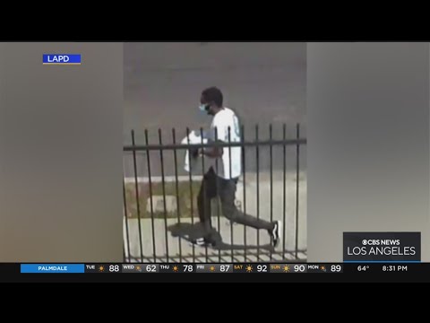 Police seek public's help identifying suspect in fatal South LA stabbing