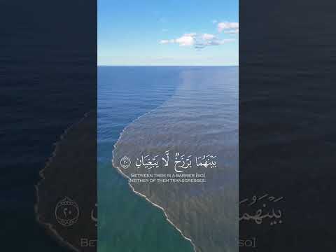 مرج البحرين يلتقيان الشيخ ياسر الدوسري قرآن اكسبلور