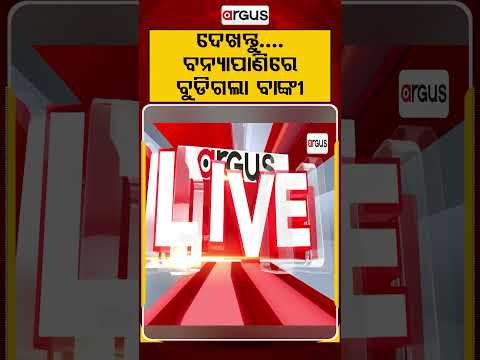 ବନ୍ୟାପାଣିରେ ବୁଡିଗଲା ବାଙ୍କୀ | Argus Reels | Banki | Flood Water | Heavy Rainfall | Argus News