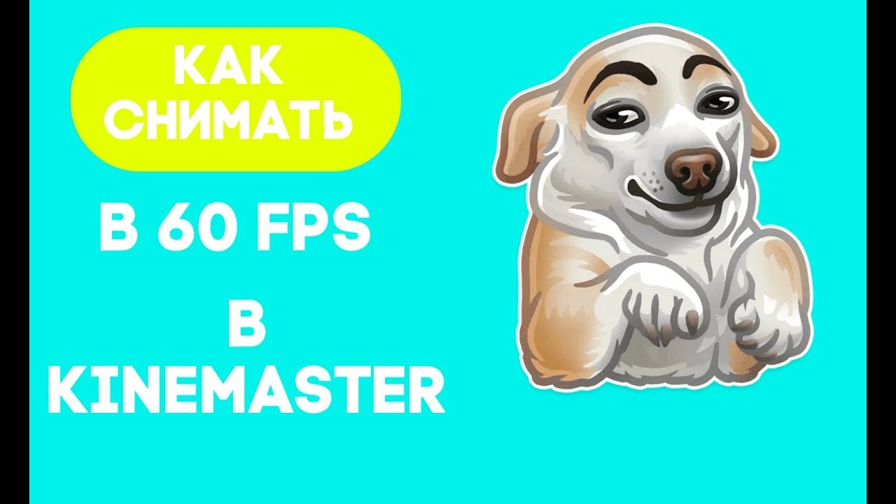 КАК СНИМАТЬ В 60 FPS В KineMaster