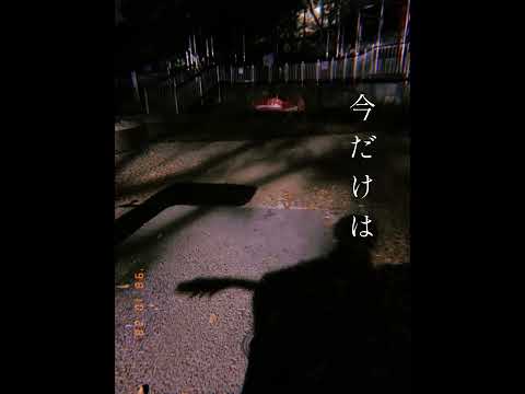 今だけは