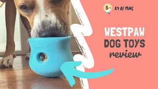 West Paw Dog Toys Review: Worth the Hype?