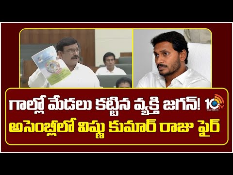 గాల్లో మేడలు కట్టిన వ్యక్తి జగన్! అసెంబ్లీలో విష్ణు కుమార్ రాజు ఫైర్ | BJP Vishnu Kumar Raju | 10TV - 10TVNEWSTELUGU