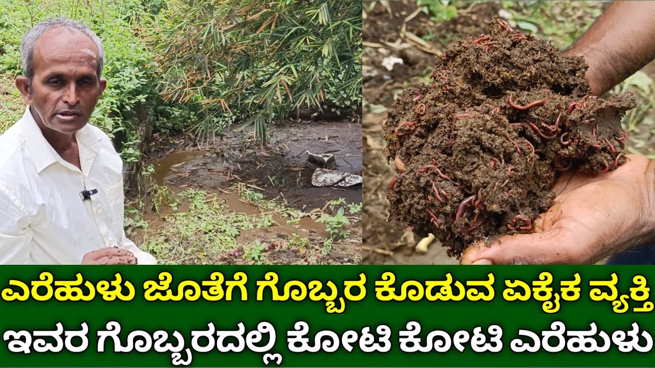 ಕರ್ನಾಟಕದಲ್ಲಿ ಎರೆಹುಳುಗಳ ಜೊತೆ ಗೊಬ್ಬರ ಕೊಡುವ ಏಕೈಕ ವ್ಯಕ್ತಿ |vermicompost in kannada | organic fertilizer