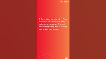 CSIR NET Bullet Question Challenge 6 From UNIT 2   Solve & Crack JRF #csirnet #question