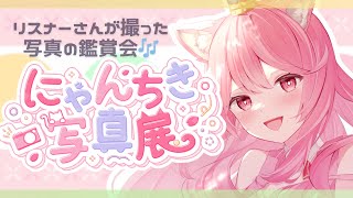 Reinya Himemiya / 姫宮レーニャの配信のサムネイル画像