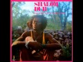 King Tubby and The Aggrovators - Shalom Dub - YouTube