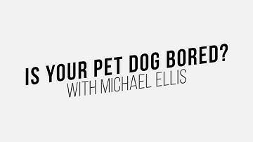 Michael Ellis - Is Your Pet Dog Bored?