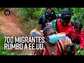 Ruta migrante por el tapón del Darién: 700 personas van rumbo a EE.UU. - El Espectador