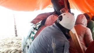 When Wat Wat Is Life