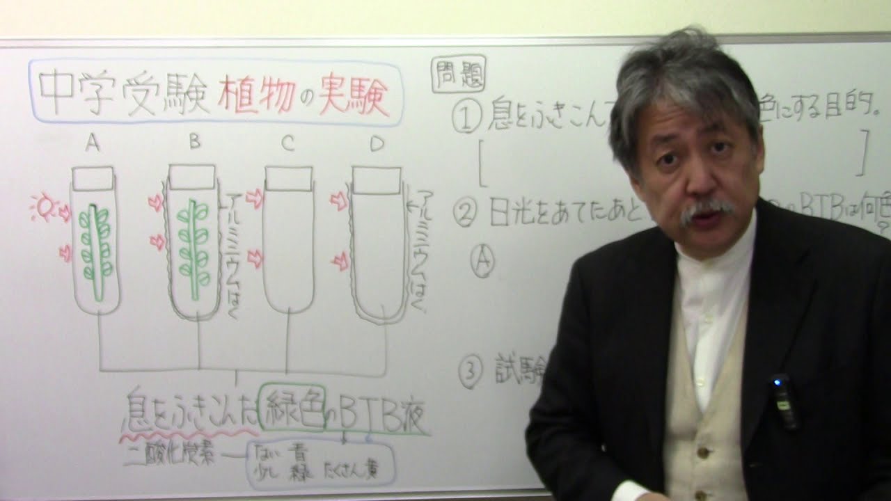 中学受験理科植物 光合成 呼吸の実験 Youtube
