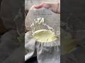 Sumerian Cheese 