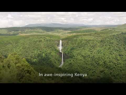 Embark on a journey of a lifetime to Kenya | Qatar Airways