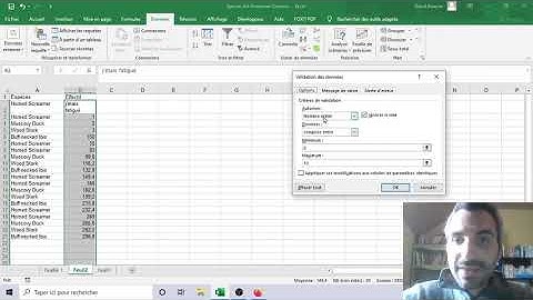 Liste menu déroulant, Validation des données EXCEL