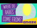 Understanding Human Reproduction