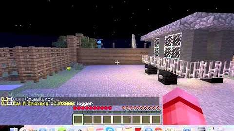 Pvp logger Hc Server