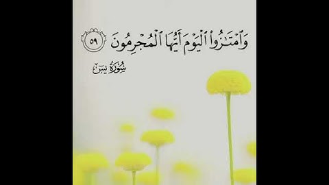 ايآت عذبة من سورة يس بصوت القارئ بشير عبدالله