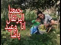 نزلنا جبنا خير ارضنا انا وعيد باشا