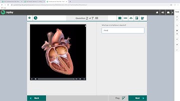 Welcome to Janison Insights. Time to watch: 06:45