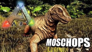 Moschops taming Wealth