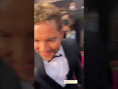 David bisbal Paulina