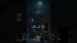 شارك فالدال على الخير كفاعله