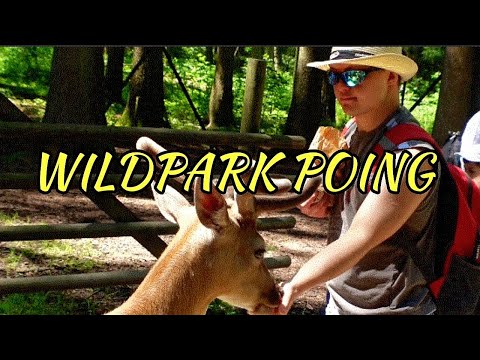Video: Gamtos parkas 