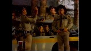 Nabisco Honey Maid Graham Bites - 