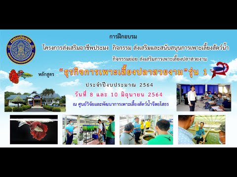 สื่อวิดีทัศน์..คลิก