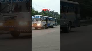 Prtc Bus