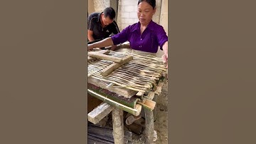 Nghề làm giấy bản tại Cao Bằng. #huyenbun #caobang #miendong #bunngusac