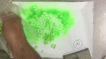 Effect of Sample Size on the Lincoln Peterson Index