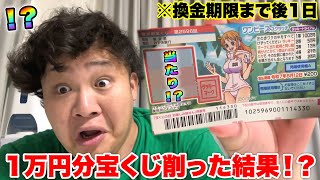 ワンピーススクラッチ　S-シャーク　外れくじ ワンピーススクラッチ S-シャーク 外れくじ ワンピース