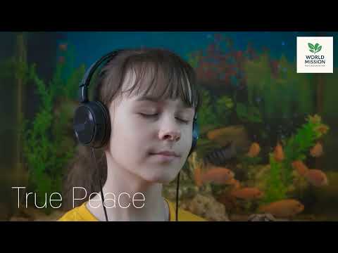 Peace Begins Within Right Now