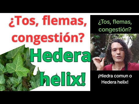 ¿Tos, flemas, mocos,