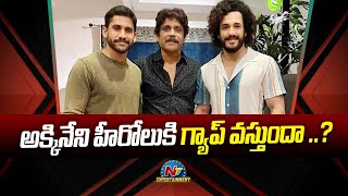 Will there be a gap for Akkineni's heroes? Nagarjuna Box Office | Ntv ENT