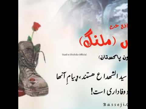 شھید مدافع حرم قمر عباس ملنک