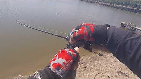 Câu cá Chín Phước Vũng Tàu 30/05/21