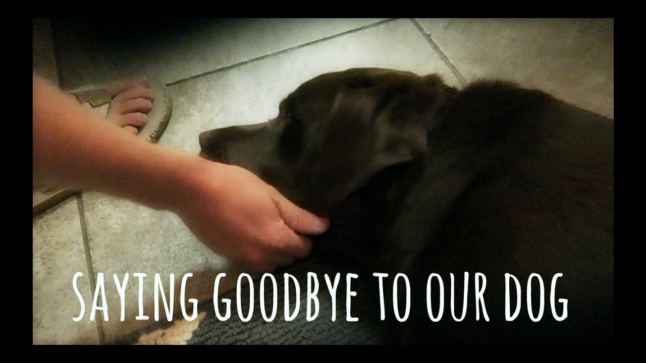 SAYING GOODBYE TO OUR DOG 7 2 16 YouTube