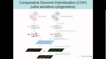 comparitive genomic hybridization