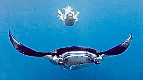 MAN AND BEAST - Part 38