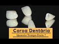 Quanto Tempo Dura a Coroa Dentária ?