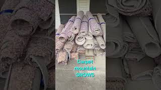Carpet Removal Continues